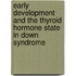 Early development and the thyroid hormone state in Down syndrome