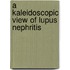 A kaleidoscopic view of lupus nephritis