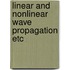 Linear and nonlinear wave propagation etc