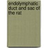 Endolymphatic duct and sac of the rat