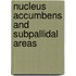 Nucleus accumbens and subpallidal areas