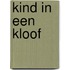 Kind in een kloof