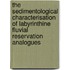 The sedimentological characterisation of labyrinthine fluvial reservation analogues