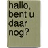 Hallo, bent u daar nog?