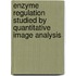 Enzyme regulation studied by quantitative image analysis