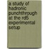 A study of hadronic punchthrough at the RD5 experimental setup