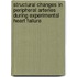 Structural changes in peripheral arteries during experimental heart failure