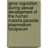 Gene regulation during sexual development of the human malaria parasite plasmodium falciparum