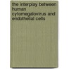 The interplay between human cytomegalovirus and endothelial cells by M.E.P. Slobbe-van Drunen
