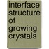 Interface structure of growing crystals