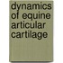 Dynamics of equine articular cartilage