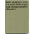 Brain imaging in mild traumatic brain injury and neuropsychiatric disorders