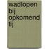 Wadlopen bij opkomend tij