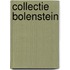Collectie Bolenstein