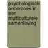 Psychologisch onderzoek in een multiculturele samenleving
