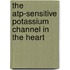 The ATP-sensitive potassium channel in the heart