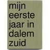 Mijn eerste jaar in Dalem Zuid by K. Besems