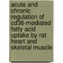 Acute and chronic regulation of CD36-mediated fatty acid uptake by rat heart and skeletal muscle