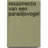 Ressorrectio van een Paradijsvogel by P. Bogaers