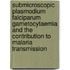 Submicroscopic Plasmodium falciparum gametocytaemia and the contribution to malaria transmission
