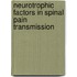 Neurotrophic factors in spinal pain transmission