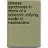 Chinese syndromes in terms of a coherent unifying model in neuroscienc