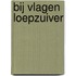 Bij vlagen loepzuiver