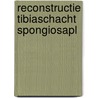 Reconstructie tibiaschacht spongiosapl door Rynberg