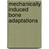 Mechanically induced bone adaptations