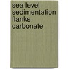 Sea level sedimentation flanks carbonate by Reymer