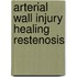 Arterial wall injury healing restenosis