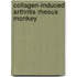 Collagen-induced arthritis rhesus monkey