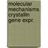 Molecular mechanisms crystallin gene expr.