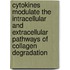 Cytokines modulate the intracellular and extracellular pathways of collagen degradation
