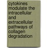 Cytokines modulate the intracellular and extracellular pathways of collagen degradation door E. van der Zee