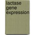 Lactase gene expression