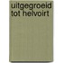 UItgegroeid tot Helvoirt
