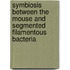 Symbiosis between the mouse and segmented filamentous bacteria
