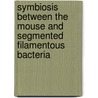Symbiosis between the mouse and segmented filamentous bacteria by J. Snel