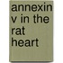 Annexin V in the rat heart