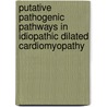 Putative pathogenic pathways in idiopathic dilated cardiomyopathy by N. de Leeuw