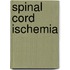 Spinal cord ischemia