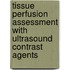 Tissue perfusion assessment with ultrasound contrast agents