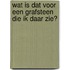 Wat is dat voor een grafsteen die ik daar zie?