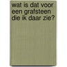 Wat is dat voor een grafsteen die ik daar zie? by K. Jongeling