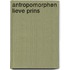 Antropomorphen Lieve Prins