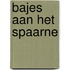 Bajes aan het Spaarne