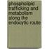Phospholipid trafficking and metabolism along the endocytic route