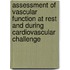 Assessment of vascular function at rest and during cardiovascular challenge