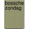 Bossche Zondag door J.P.M. van Lieshout